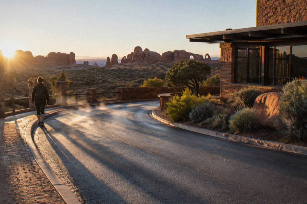 A paved park road curving between tall orange sandstone walls in morning light.