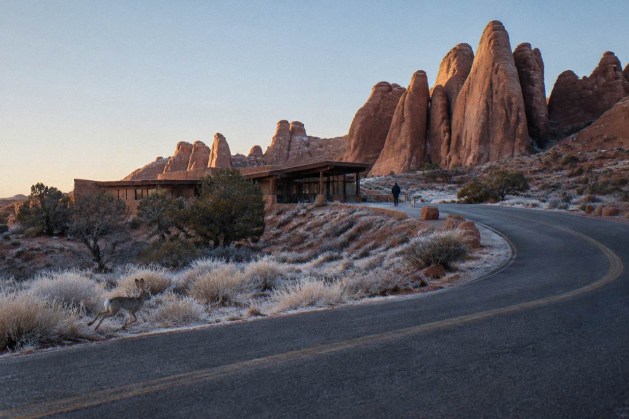 Empty paved road curving toward red rock fins at the Arches National Park entrance in early morning light