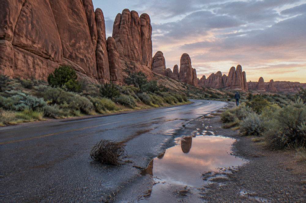 An empty park road curving between red sandstone fins in early morning light