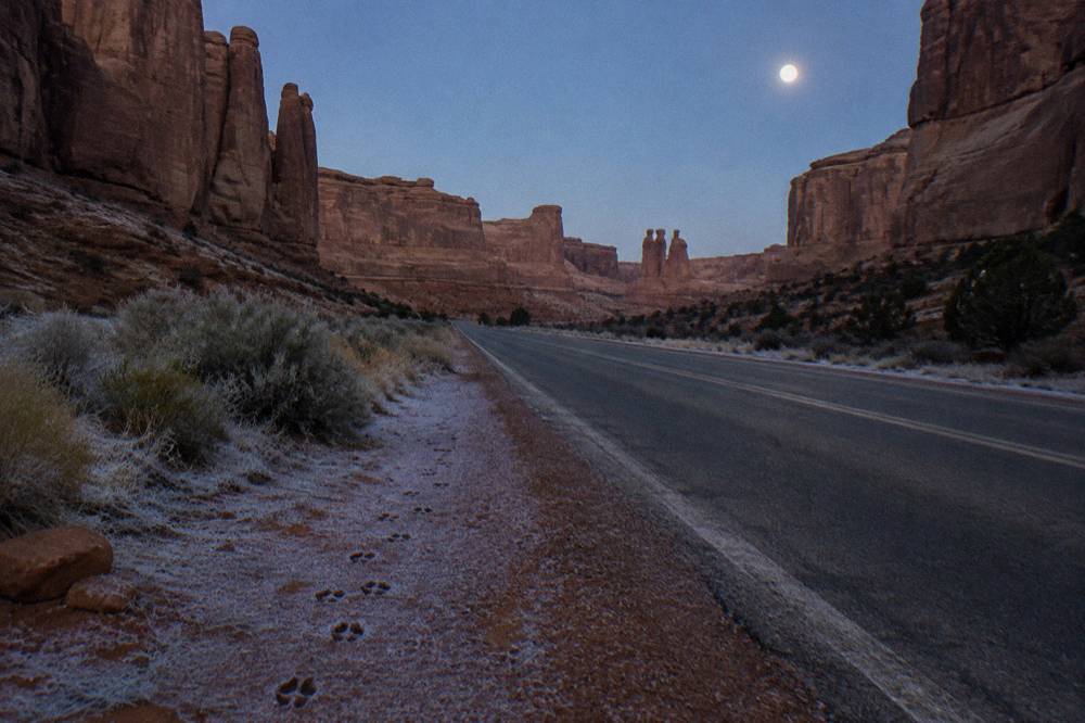 A dark empty park road curving between sandstone walls under starlight