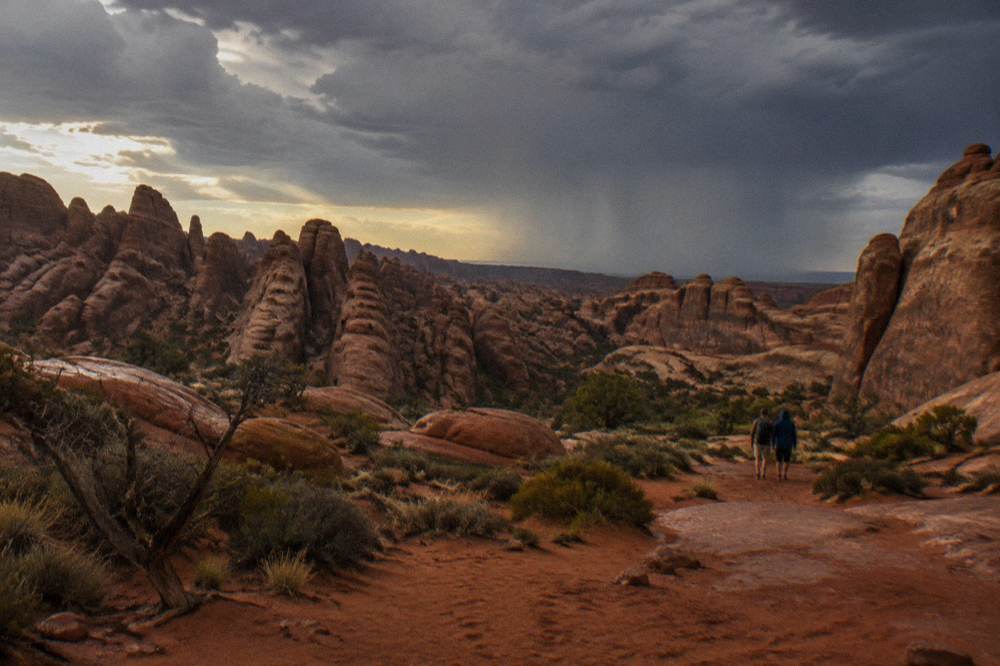 Long shadows across red rock fins and sand dunes in late afternoon light