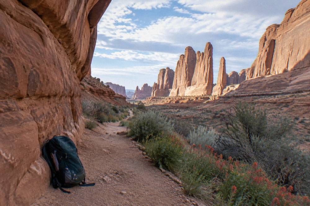 Desert wildflowers and sage in the foreground of tall red rock fins