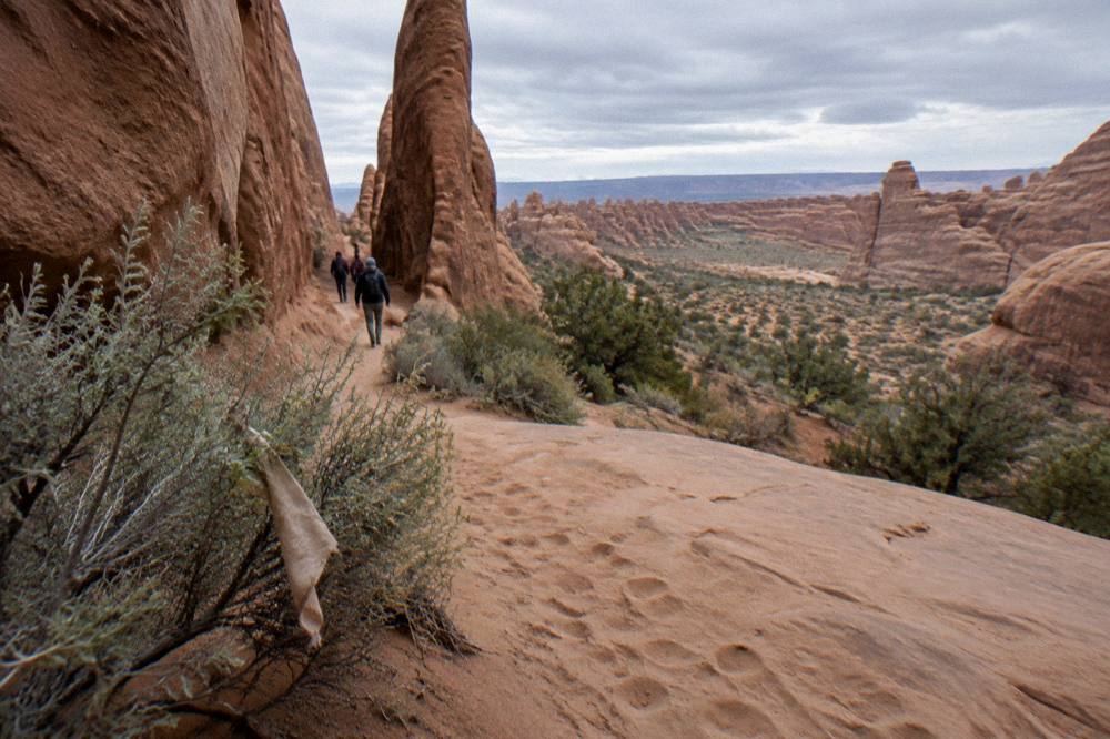 A sandstone trail winding between tall rock fins toward an open viewpoint