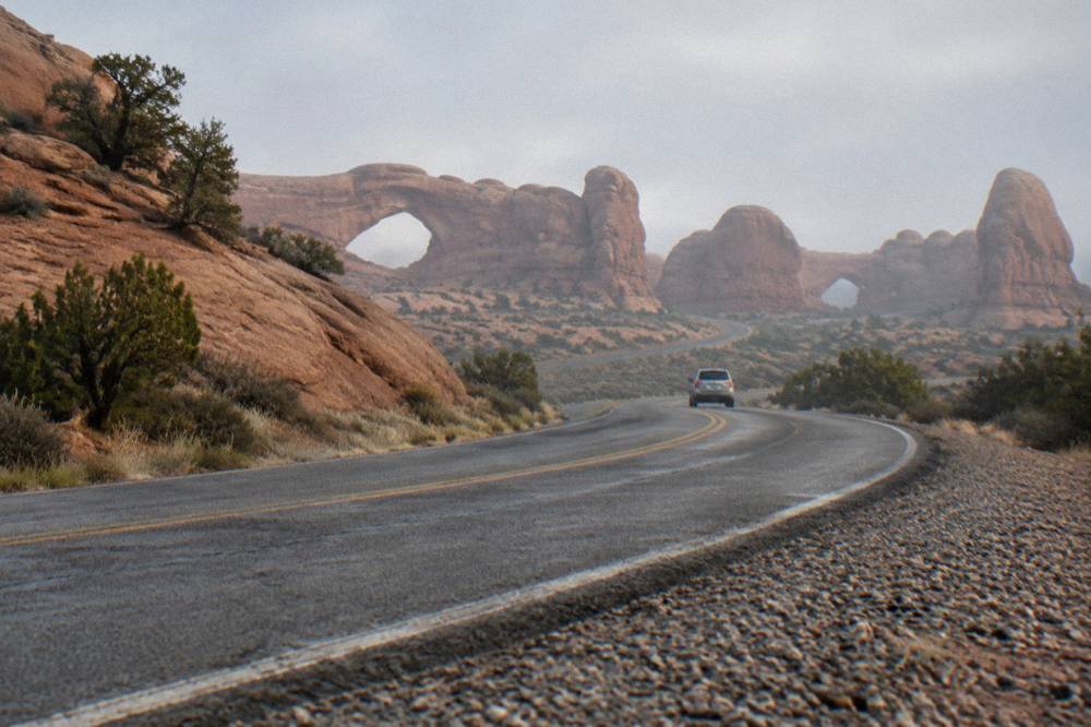 A paved road curving between tall sandstone walls in soft morning light in Arches National Park