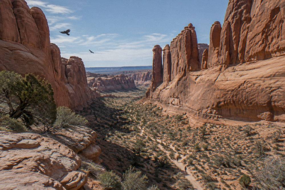 Park Avenue's sandstone fin corridor seen from the overlook at the start of the scenic drive