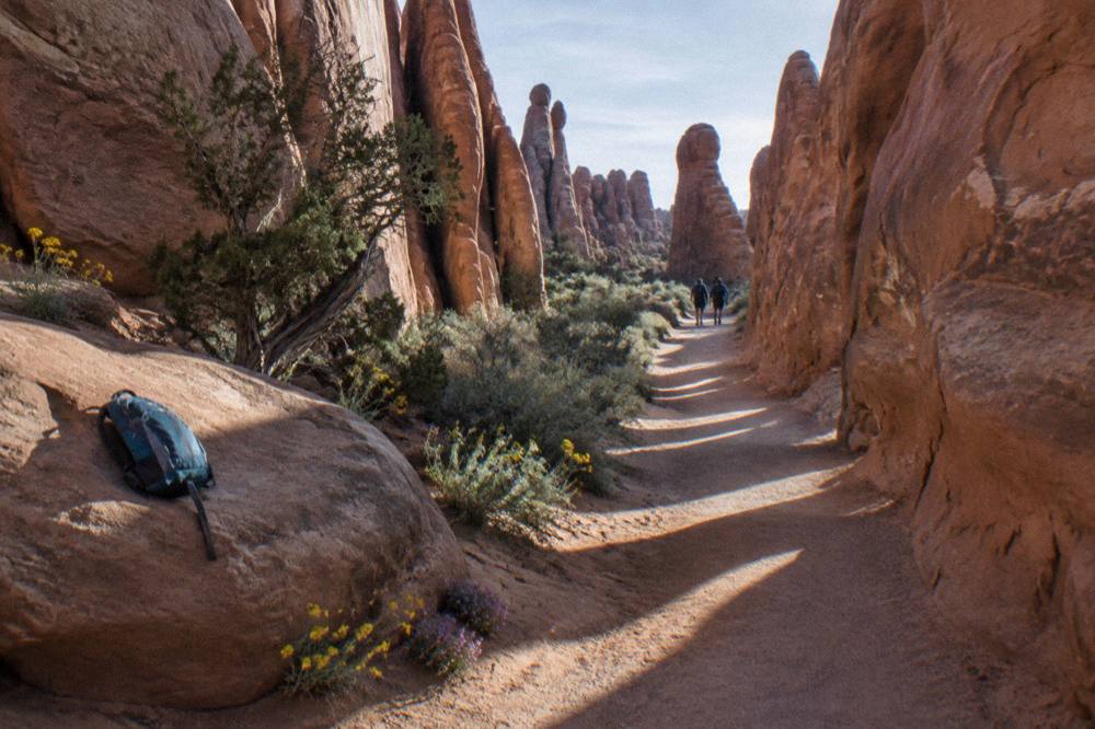 The Devils Garden trail winding between sandstone fins toward Landscape Arch